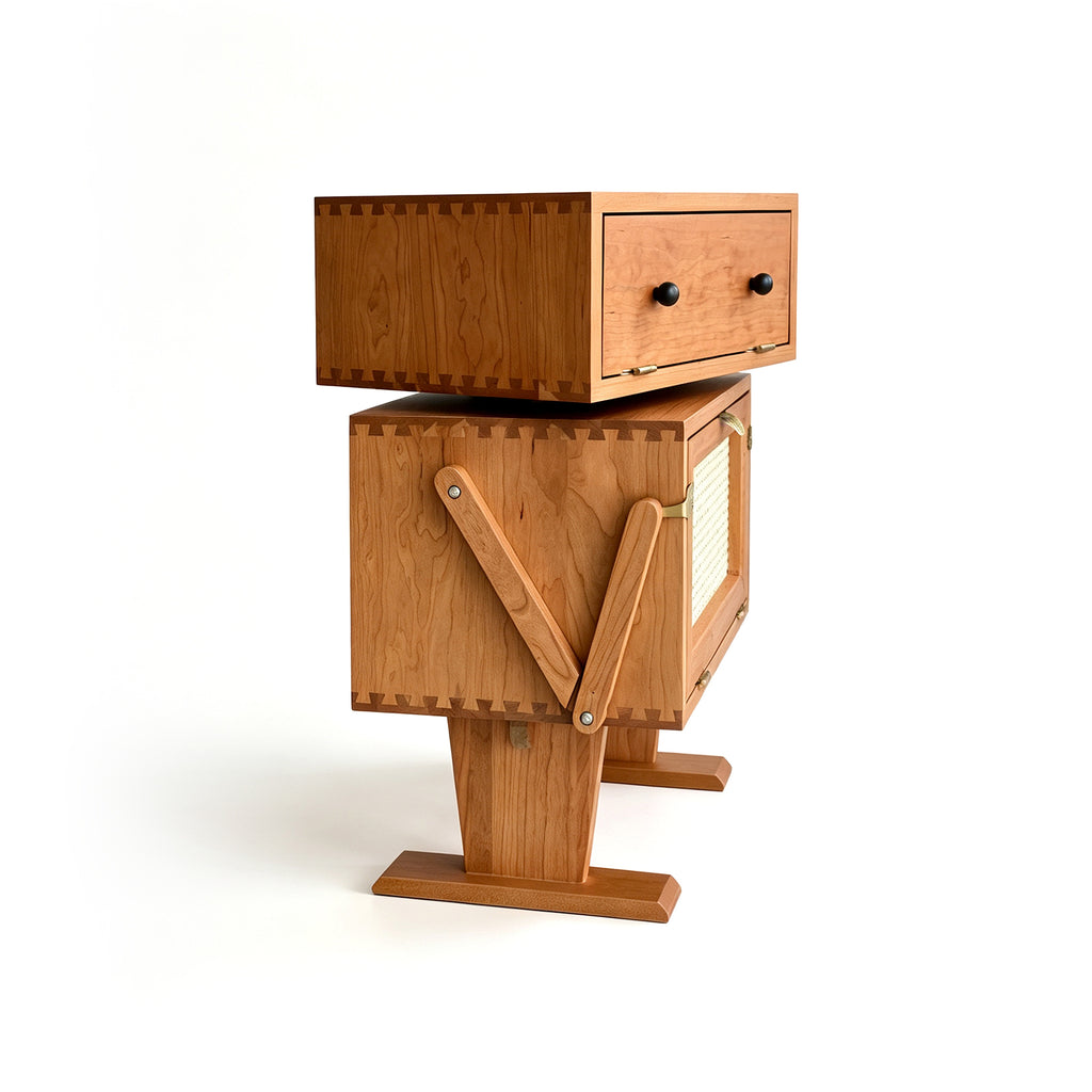 Wooden Robot Cabinet
